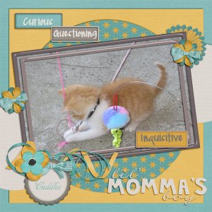 Momma's Boy