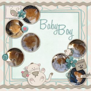 Momma's Baby Boy