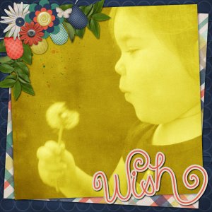 wish