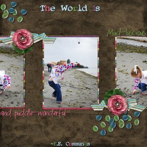 Puddle Wonderful