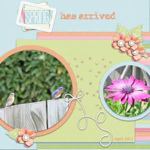 Spring has arrived