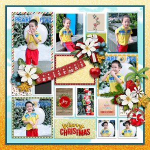 Tropical Christmas