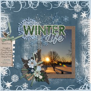 Winter Favs