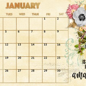 January desktop for 2021
