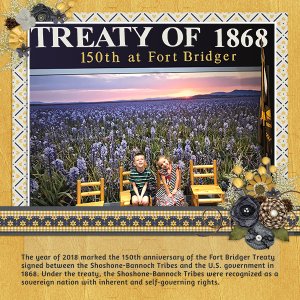 Fort Bridger Treaty