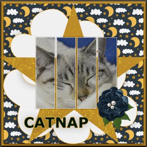 catnap