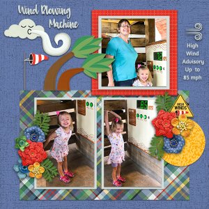 Wind Blowing Machine Palmer