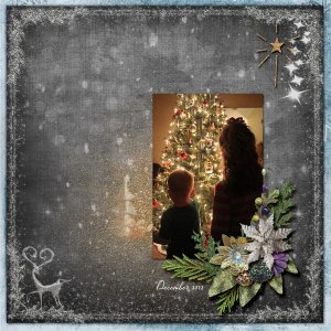 The Christmas Tree 2012