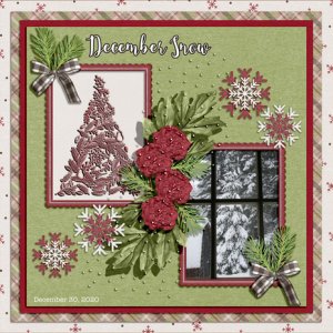 DECEMBER SNOW