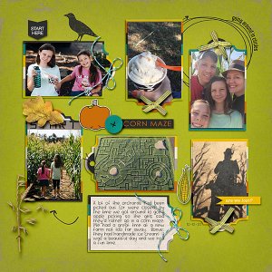 Corn Maze