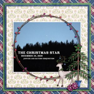 THE CHRISTMAS STAR