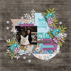 A winter to remember 1.