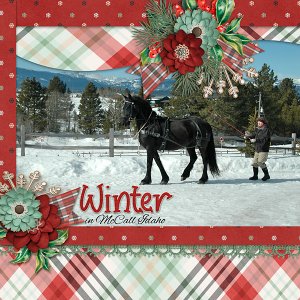 Carol-and-horses-copy