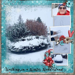 Walking in a Winter Wonderland