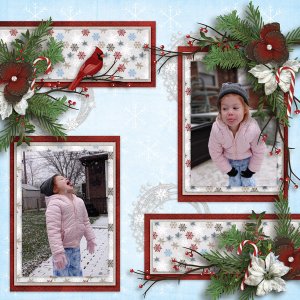 Snow - 2020