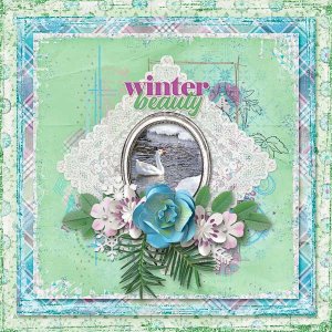 Winter Beauty