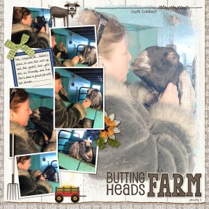 with goats