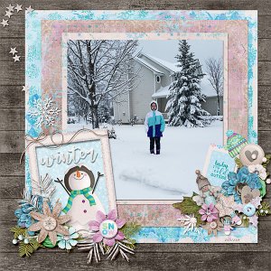 Winter of 2016