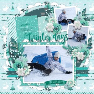 Winter memories