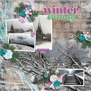 Winter Beauty