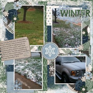 Winter Life