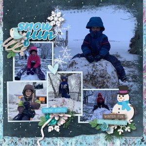 Snow Fun