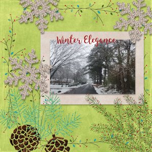 Winter Elegance
