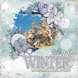 Winter-wonderland_winter_woodland_