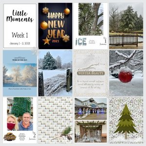 January 2021 Project 52 Challenge: Little Moments 2021 Week 1