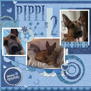 Happy Birthday Pippi!