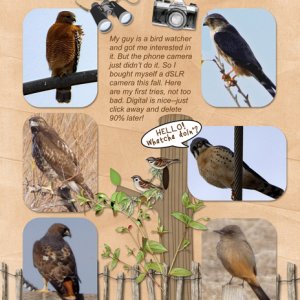 Bird Photography 1A