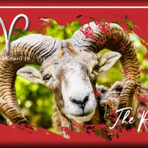 ATC 2021-002 The Ram