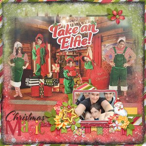 Take an Elfie