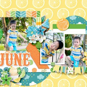 2021 Quickpage calendars - June
