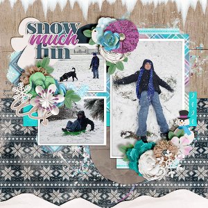 Snow Much Fun