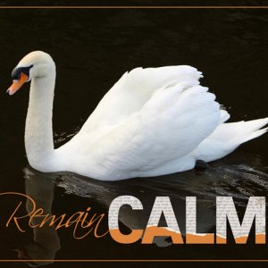 Remain Calm