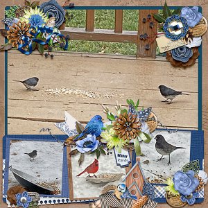 2020 Winter Birds