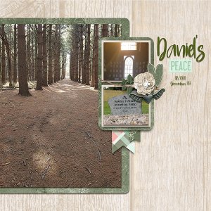 Daniel's Peace