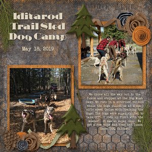 Iditarod Camp