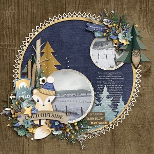 winter wonderland