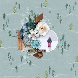 CMG_WinterWoods_KDBOS21
