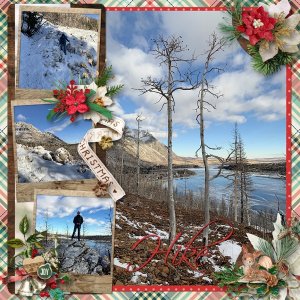 Winter Trip