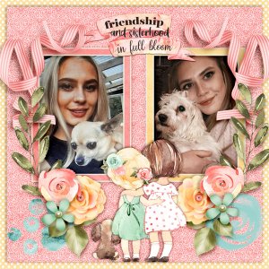 Friendship-and-sisterhood