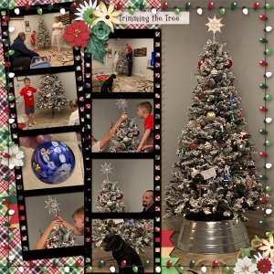Trimming The Tree