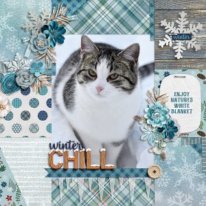 winter chill