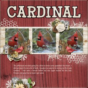 Cardinal_small