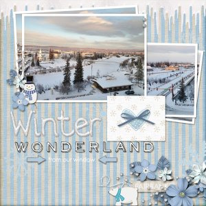Winter wonderland
