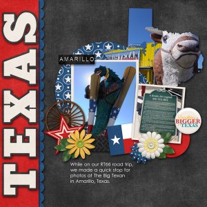 CSIA-TXbyCAP-web