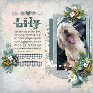 Laughing Lily