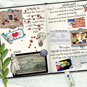 Diary of a New Year